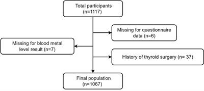 Association of multiple blood metals with thyroid function in general adults: A cross−sectional study